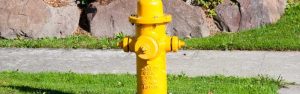 GVFD Hydrant